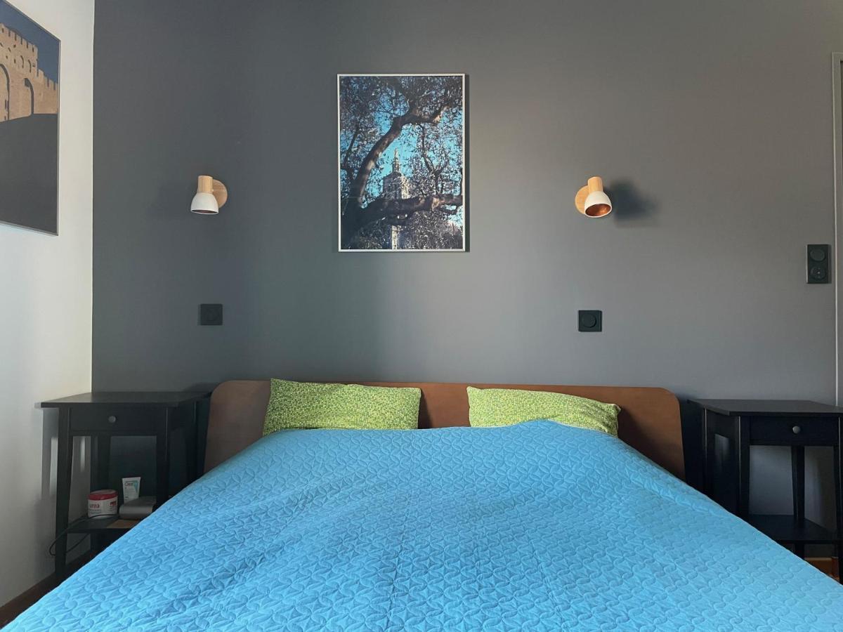 L'Atypique - T3 Grande Terrasse, Bbq Vue Et Cheminee Apartman Avignon Kültér fotó